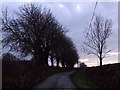 Dusk in the country lane in LL77 7TY