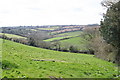 Pasture at Porth Kea in TR3 6AJ