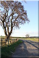 Early Spring on the Shirenewton Road - looking north in NP16 6AQ