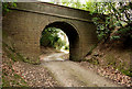 Track and bridge in Gregynog Hall grounds in SY16 3PW