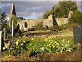 Ruins of St Peter's Church in CO7 8AZ