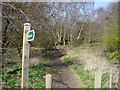 Footpath to Glemsford Close in IP11 3SU