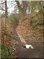 Footpath off Moor Lane in BB7 9NY