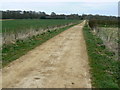 Footpath to Brown's Farm, Savernake in SN8 4ND