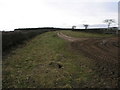 Piper Lane Bridleway in Carburton
