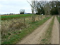 Footpath to Cranham Farm, near Marlborough in SN8 4DP