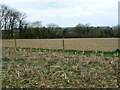 Field and crop residue, south of Marlborough in SN8 4DP