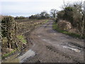 Footpath to Apsley Manor Farm in HP17 8TF