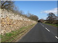 Road running past Seggarsdean in EH41 4LD