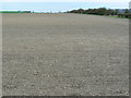 Farmland between Aughton and Brunton in SN8 3SE