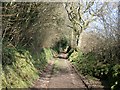 Track to Hill Farm Cottages in TQ13 8PZ