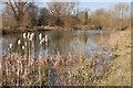 Man made pond near Steeple Bumpstead in CB9 7BL