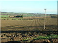 Fields off Ninevah Lane in WF9 1AN