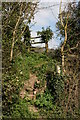 Footpath to Stoke Woods in TA3 5RW