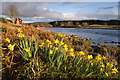 The River Dee near Crathes Castle in early spring in AB31 5QE
