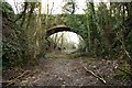 The Withered Arm - Bridge No143 - Pendavey Farm in PL27 6HY