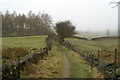 Footpath to Tarn Hows from Yewfield in LA22 0PR