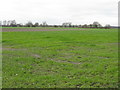 Fields at Sinderland Green in WA14 5SU