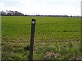 Footpath through field in TN12 9PR