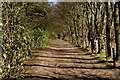 Path to the beach at Tyninghame Links in EH42 1XW
