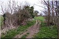 Footpath between Appleford and Long Wittenham in OX14 4PA