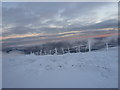 Rime on wire fence, Meall Garbh in PH15 2NZ