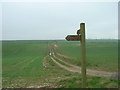 Bridleway Near Littlethorpe in YO25 4JF