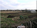Oxcroft Lane Allotments in S44 6DW