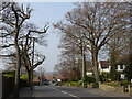 Street Scene, Higher Drive, Purley in CR8 2DP