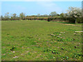 Field and track to Parkgate Farm, near Purton in SN5 4DH