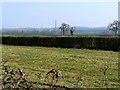 Field, Greenacres Farm, west of Purton in SN5 0AW