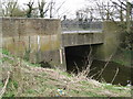 River Colne: Broad Colney Bridge in AL2 1QL