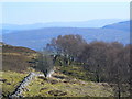 Near Corriefoyness,looking towards Loch Ness in IV3 8LD
