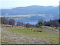 On the track to Balchraggan, with Loch Ness in the distance. in IV3 8LD