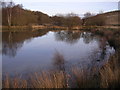 Loch at disused Cardowan Fireclay Works in G33 6GG