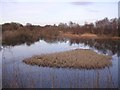 Small Loch near Garnkirk in G69 9JE