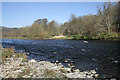 The River Tweed at Lowood in TD1 2FB