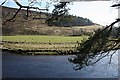 River Deveron near Blairmore in AB54 4XY