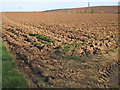 Ploughed field at Curryfield Farm in TA5 2NH