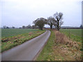 East Raynham to Colkirk road, Norfolk in NR21 7HX
