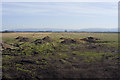 Looking across fields towards Bowland in PR3 6AX