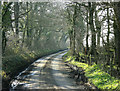 2009 : Long Lane, near Beans Land Farm in BA11 4PH