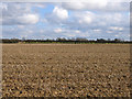 Landscape NW of Weasenham All Saints, Norfolk in PE32 2SL