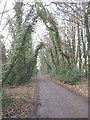Track to Warren Farm, Chalfont St Giles in HP8 4SH
