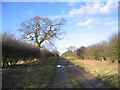 Farm track, Weasenham All Saints, Norfolk in PE32 2SY