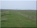 Southlees Marshes - Sheppey Crossing in the distance in ME12 3SW