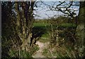 Footpath to Park Road in TN12 9AQ