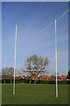Poplars and Rugby Goal in NG10 4AA