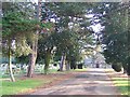 Bebington Cemetery in CH63 5LJ