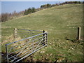 A pair of metal field gates by the Kearn Burn in AB54 4LY